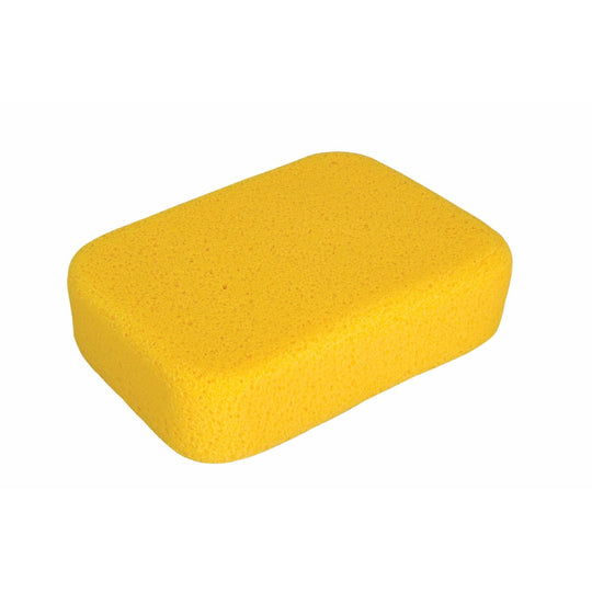 Sponges