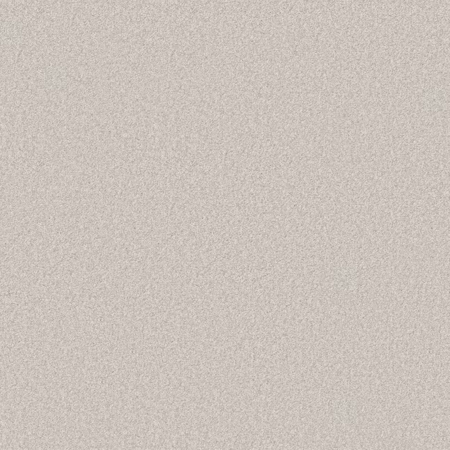 STAINMASTER Effortless Appeal I Whitecap Gray 43.9-oz sq yard Polyester Textured Indoor Carpet