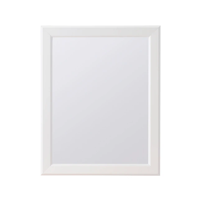 Project Source Gabinete para medicinas rectangular con espejo blanco de montaje en superficie de 15.25 x 19.25 pulgadas