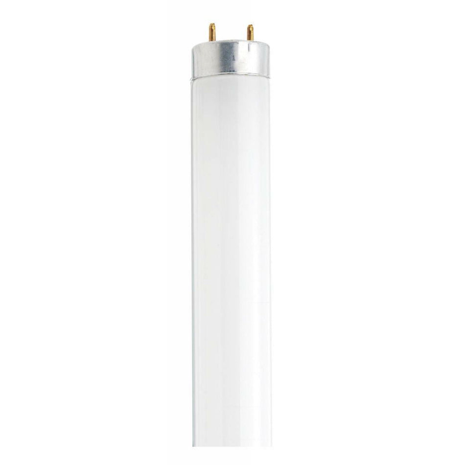 Sylvania T8 Cool White Medium Bi Pin base Bulb