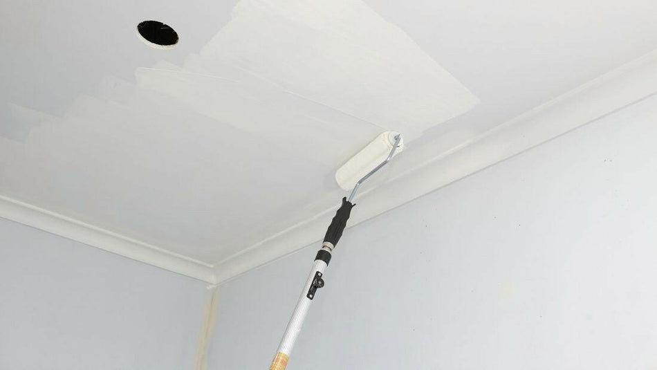 Paint Ceilings (2-Bed/1-Bath)