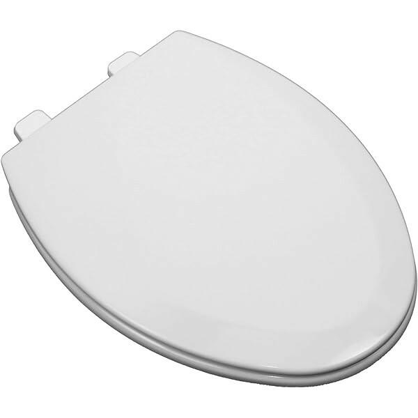 ProFlo Tizer Elongated Closed Front Plastic Toilet Seat with Cover in White