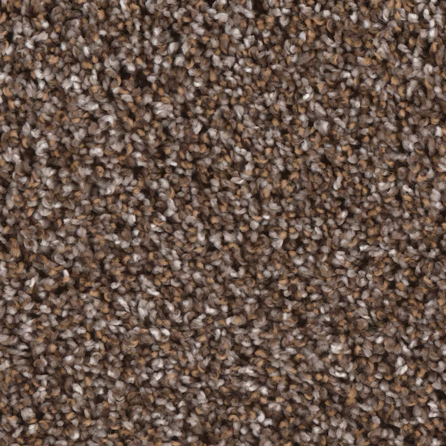 STAINMASTER Concerto Essay Multi-Colored 64-oz sq yard Polyester Textured Indoor Carpet