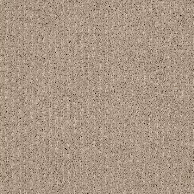 STAINMASTER PetProtect Summer Nights Tumbleweed Brown 39-oz sq yard Nylon Pattern Indoor Carpet