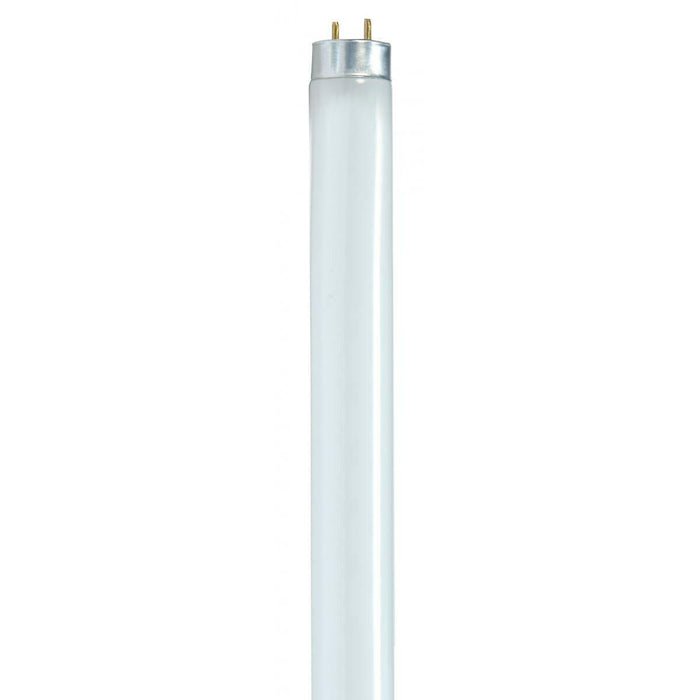 Satco Cool White T8 Fluorescent Medium Bi Pin Base Bulb