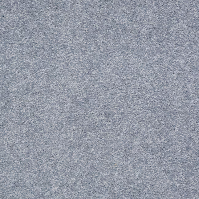 STAINMASTER PetProtect Best Of Breed I Rain Cloud Blue 48.8-oz sq yard Nylon Textured Indoor Carpet
