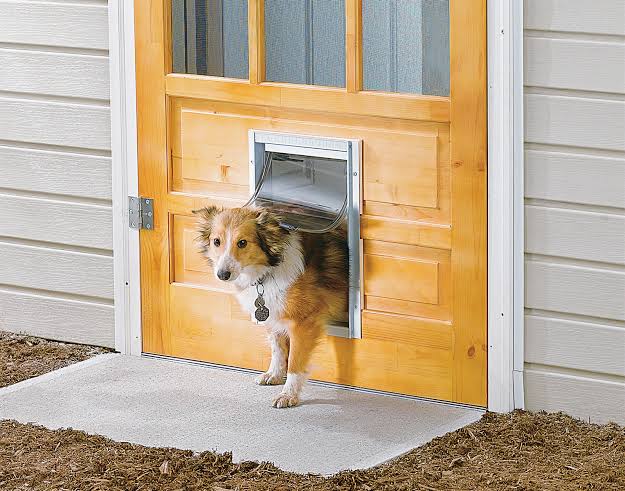 Pet Door Installation