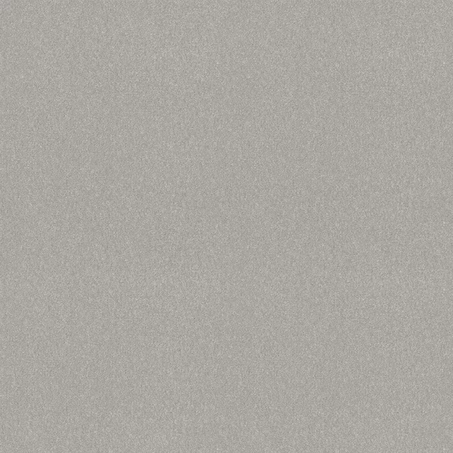 STAINMASTER PetProtect Best Of Breed II Simple Stone Gray 58.5-oz sq yard Nylon Textured Indoor Carpet