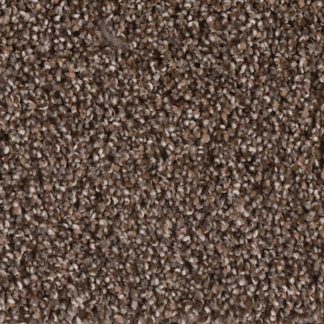 STAINMASTER Ballad Manuscript Brown 44-oz sq yard Polyester Textured Indoor Carpet