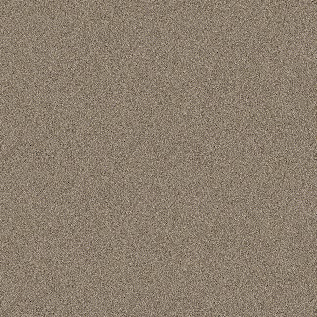 STAINMASTER Welcome Retreat III Summer Straw Brown 68.3-oz sq yard Polyester Textured Indoor Carpet