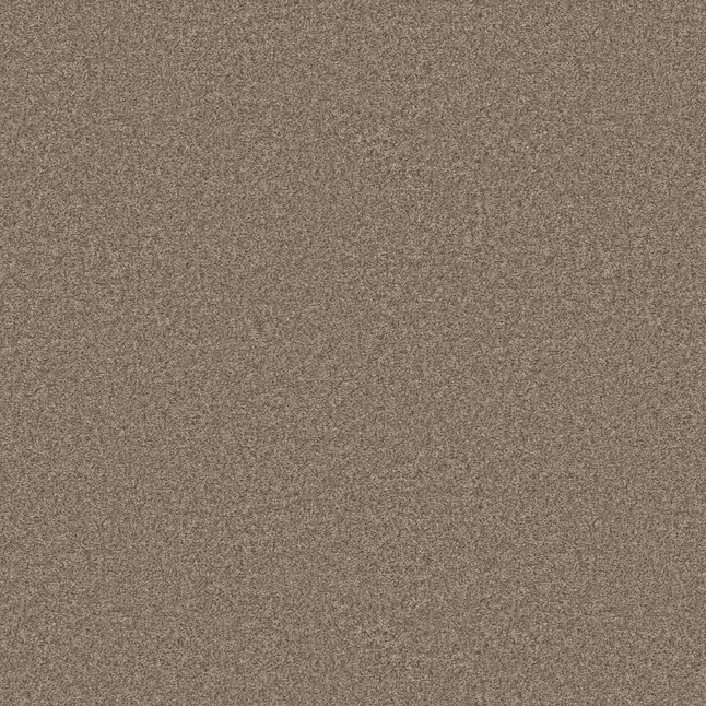STAINMASTER Effortless Appeal II Cameo Brown 58.5-oz sq yard Polyester Textured Indoor Carpet