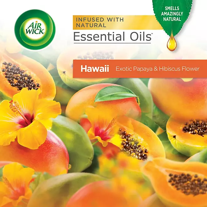 Kit de ambientador de aceite perfumado Air Wick, Hawaii (2 calentadores + 7 recambios)