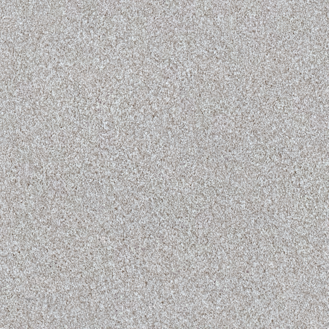 STAINMASTER Welcome Retreat II London Fog Off-white 53.6-oz sq yard Polyester Textured Indoor Carpet