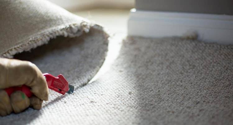 Carpet Removal