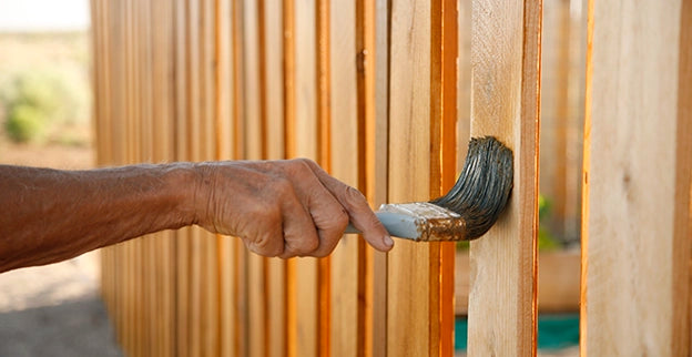 Fence Painting