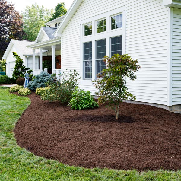 Mulch Installation