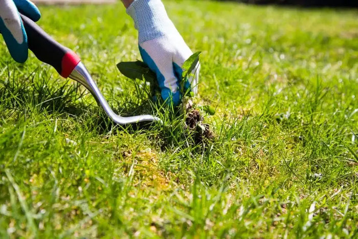 Weeding Services