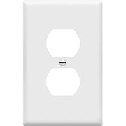 Placa de pared para receptáculo dúplex de una sola unidad de Eastman (estándar, blanca)