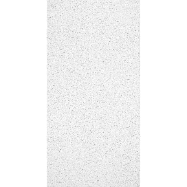 Armstrong Ceilings contratista texturizado de 48 pulgadas x 24 pulgadas, paquete de 10 plafones colgantes blancos fisurados de 15/16 pulgadas