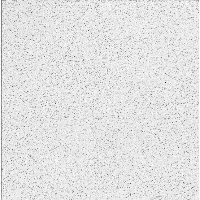 Armstrong Ceilings Textured Contractor 24 pulgadas x 24 pulgadas, paquete de 16 plafones colgantes blancos fisurados de 15/16 pulgadas